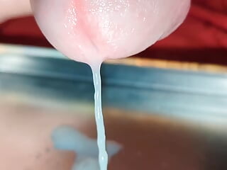 Sperm Collection Homemade Drinking Compilation