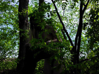 Virgin masturbation in the woods, publicly fucking myself with my fingers in my pussy. 4K 60FPS