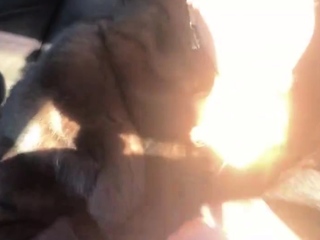 Fur-coated stepmom gives stepson a blowjob in the car